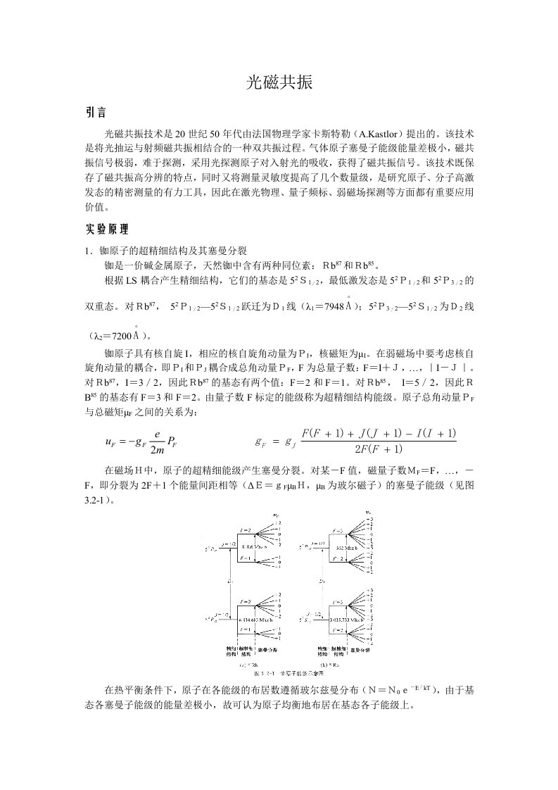 《光磁共振》报告