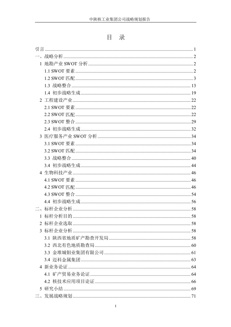 集团公司战略规划报告