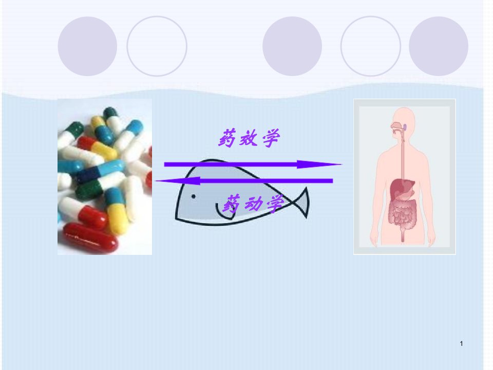 药理学总复习课件