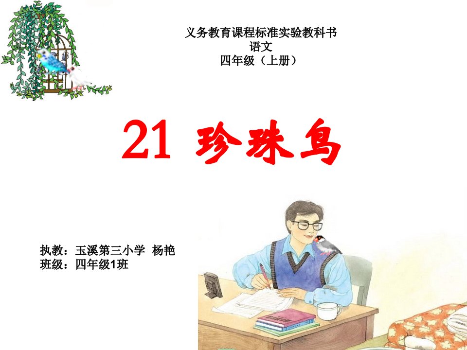 21《珍珠鸟》课件（杨艳）