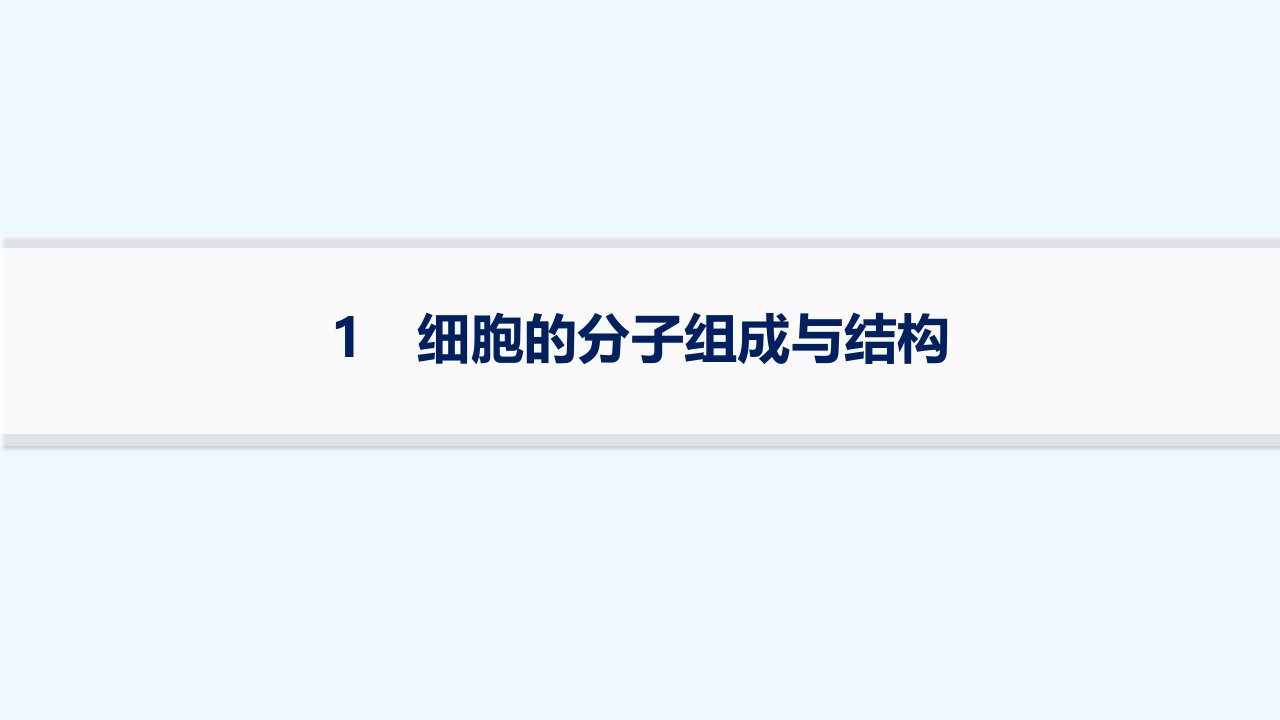 适用于新高考新教材2024版高考生物二轮复习知识对点小题练1细胞的分子组成与结构课件