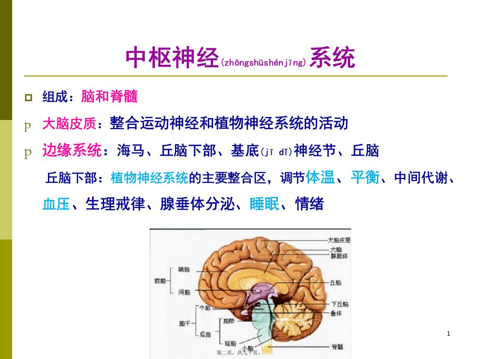 医学专题第三章中枢神经系统药理陈海兰