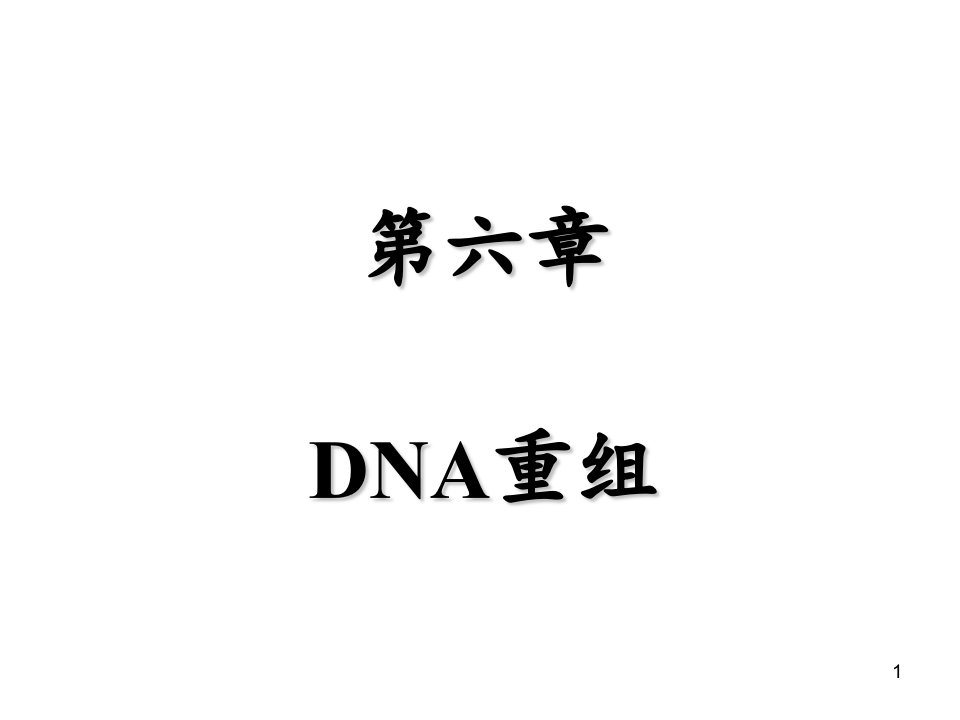 DNA的重组与转座