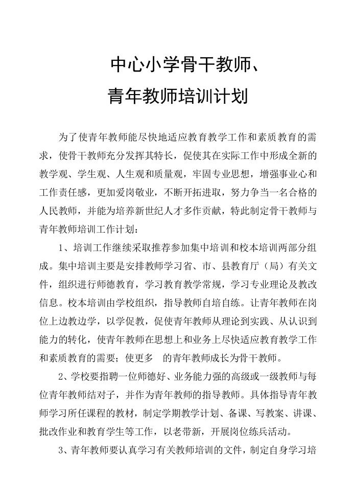 骨干教师、青年教师培训计划