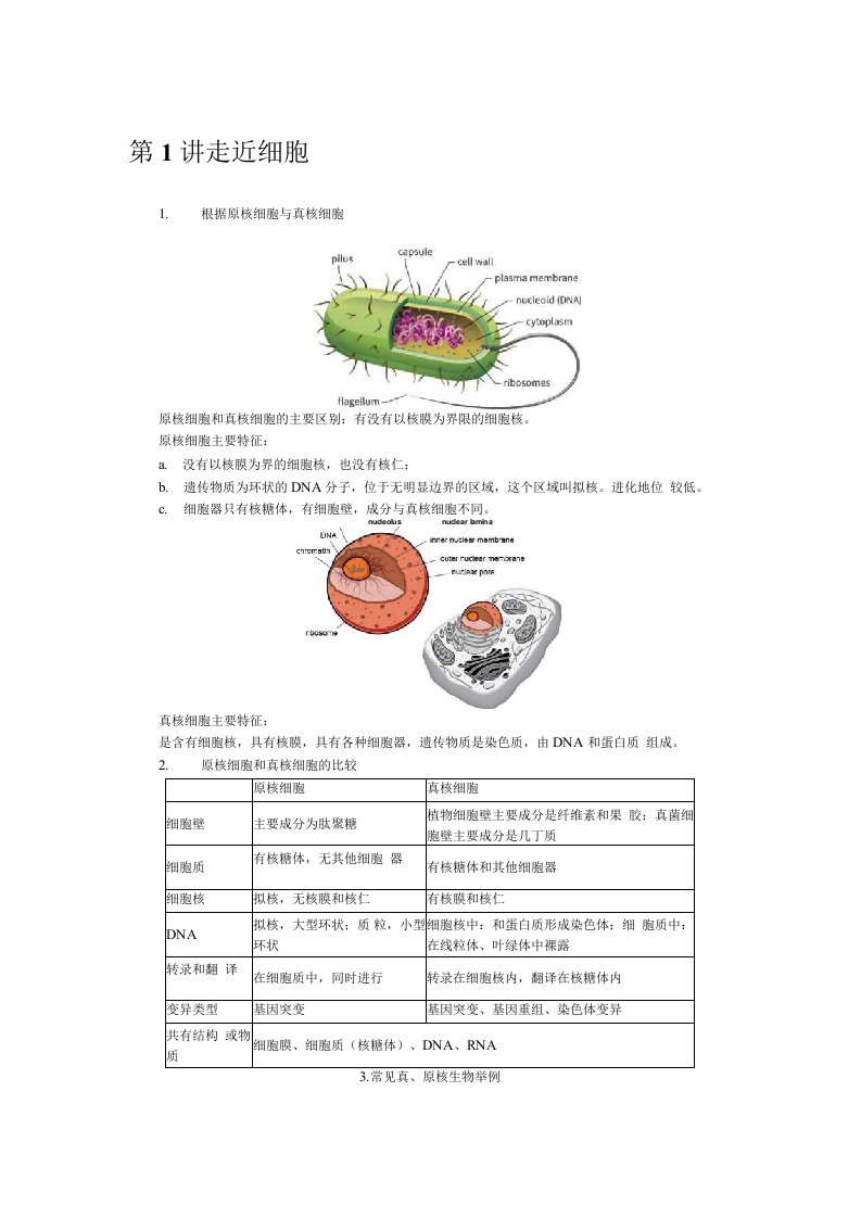 高三一轮复习生物讲义：细胞结构及物质跨膜运输