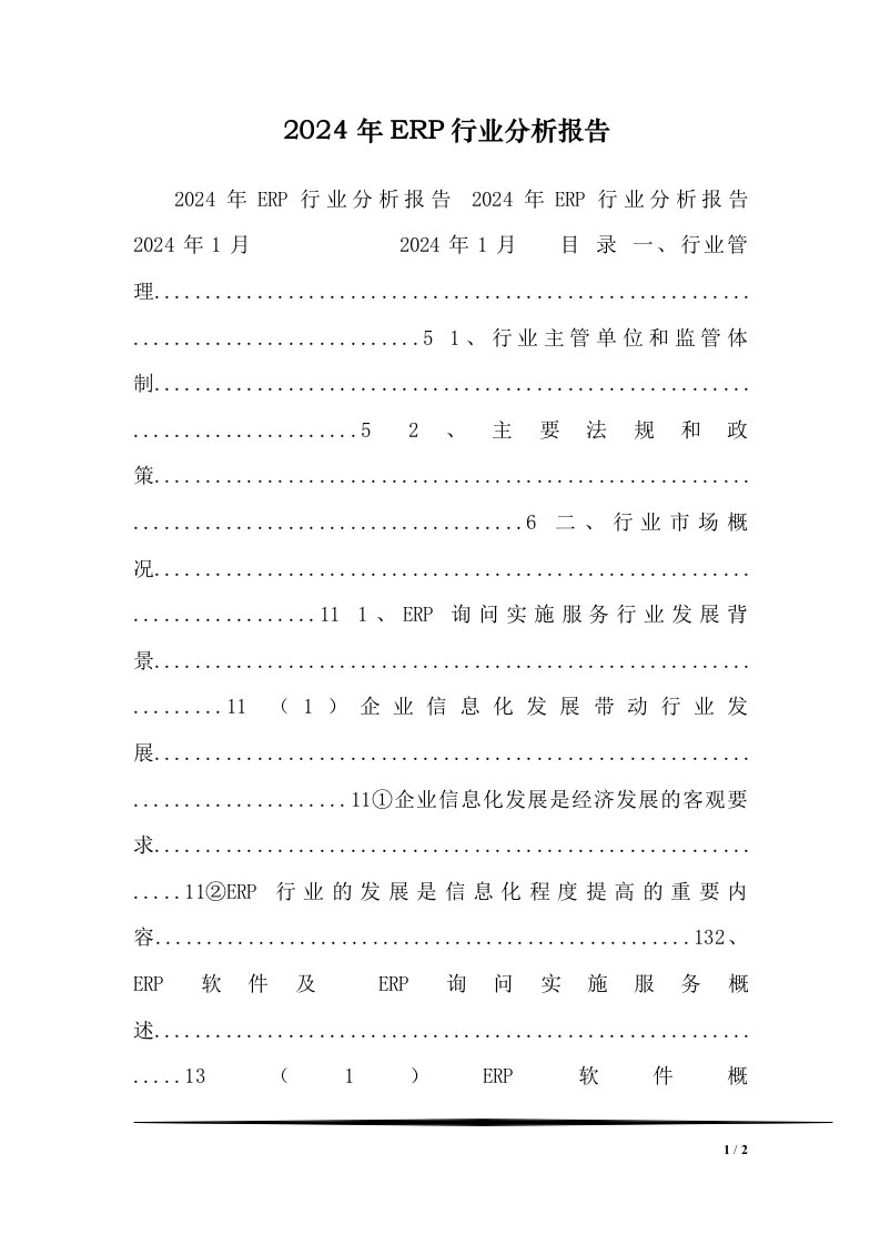 2024年ERP行业分析报告