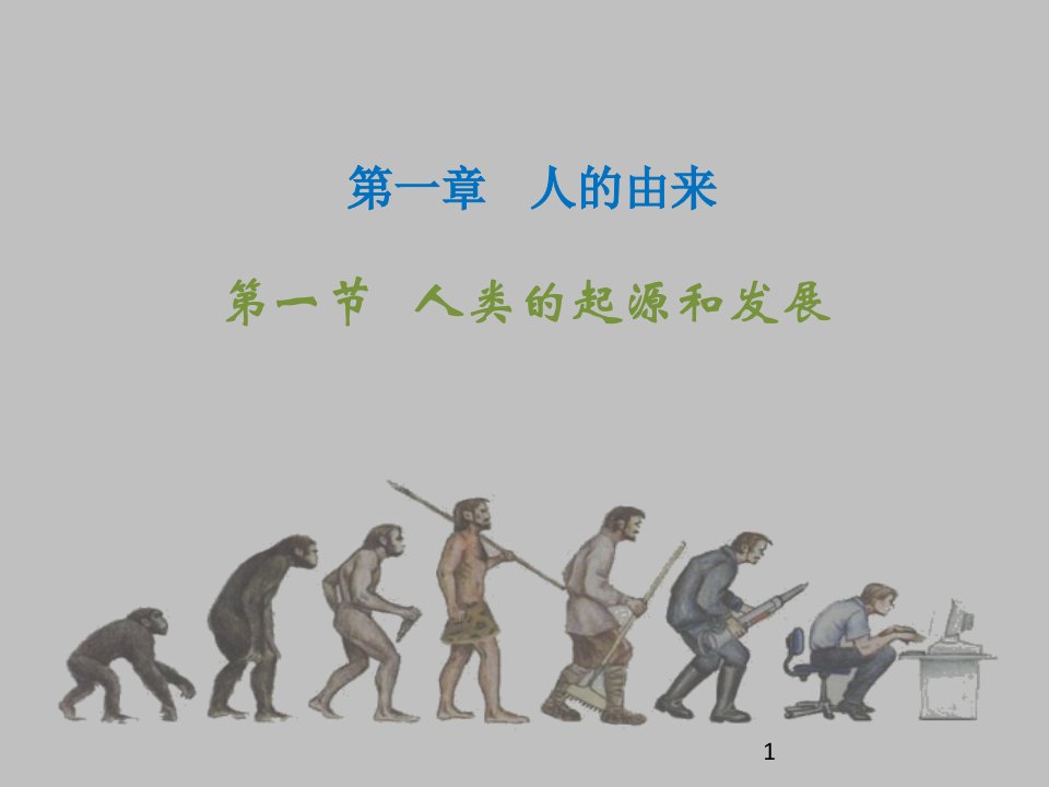 人教版生物七年级下册全套ppt课件