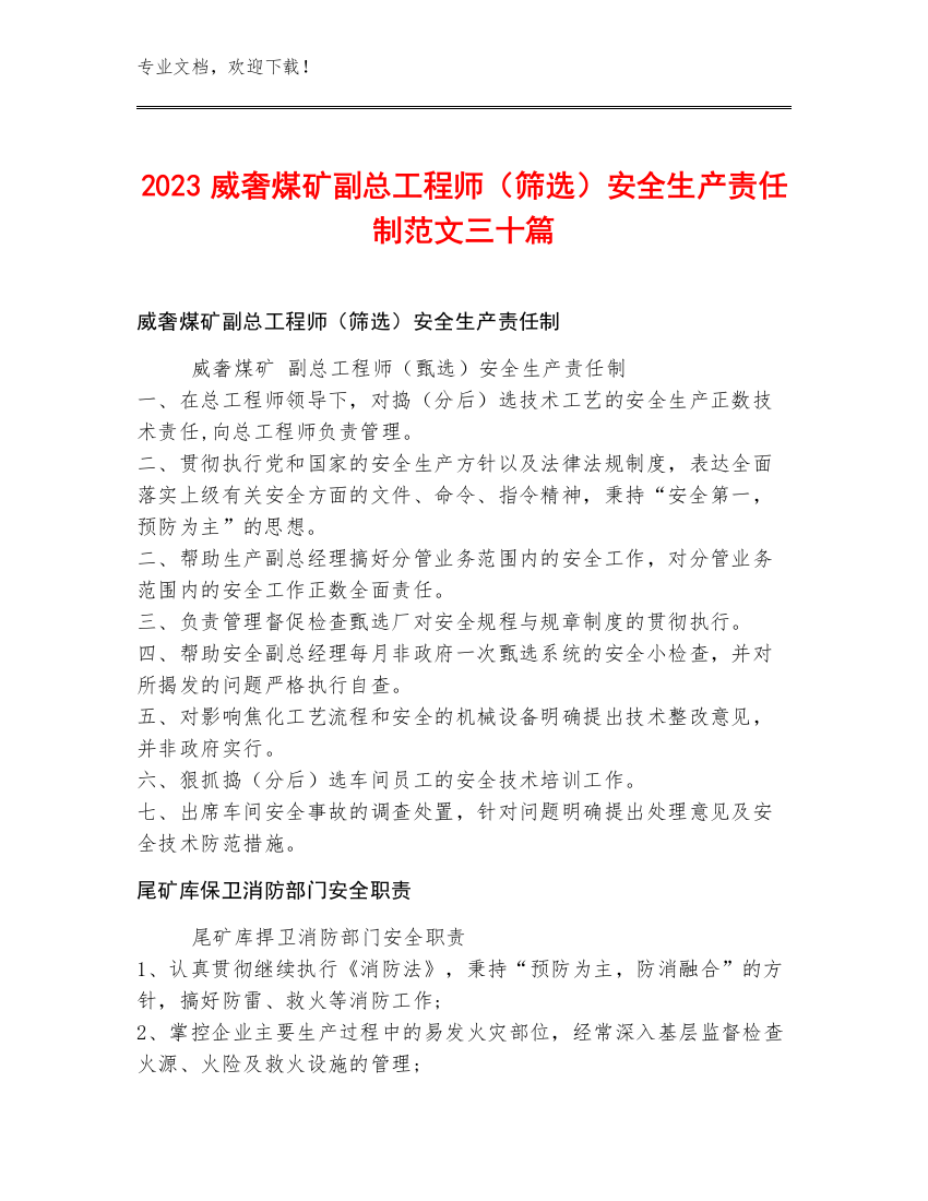 2023威奢煤矿副总工程师（筛选）安全生产责任制范文三十篇