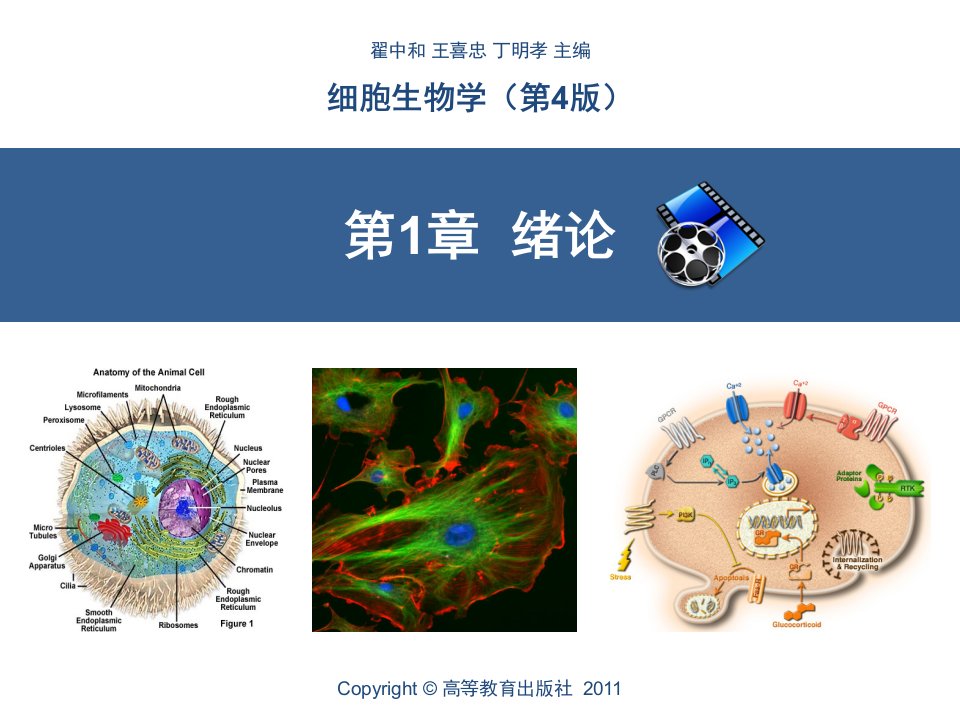 细胞生物学翟中和第四版第1章绪论PPT优秀课件