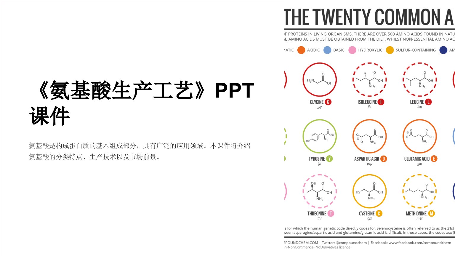 《氨基酸生产工艺》课件