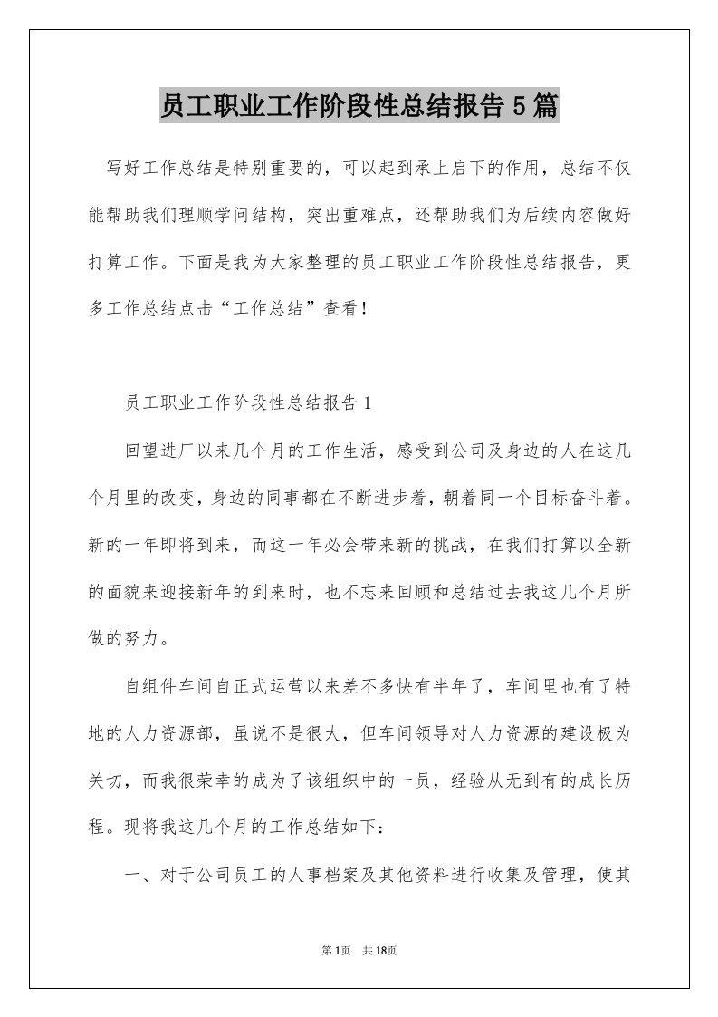 员工职业工作阶段性总结报告5篇