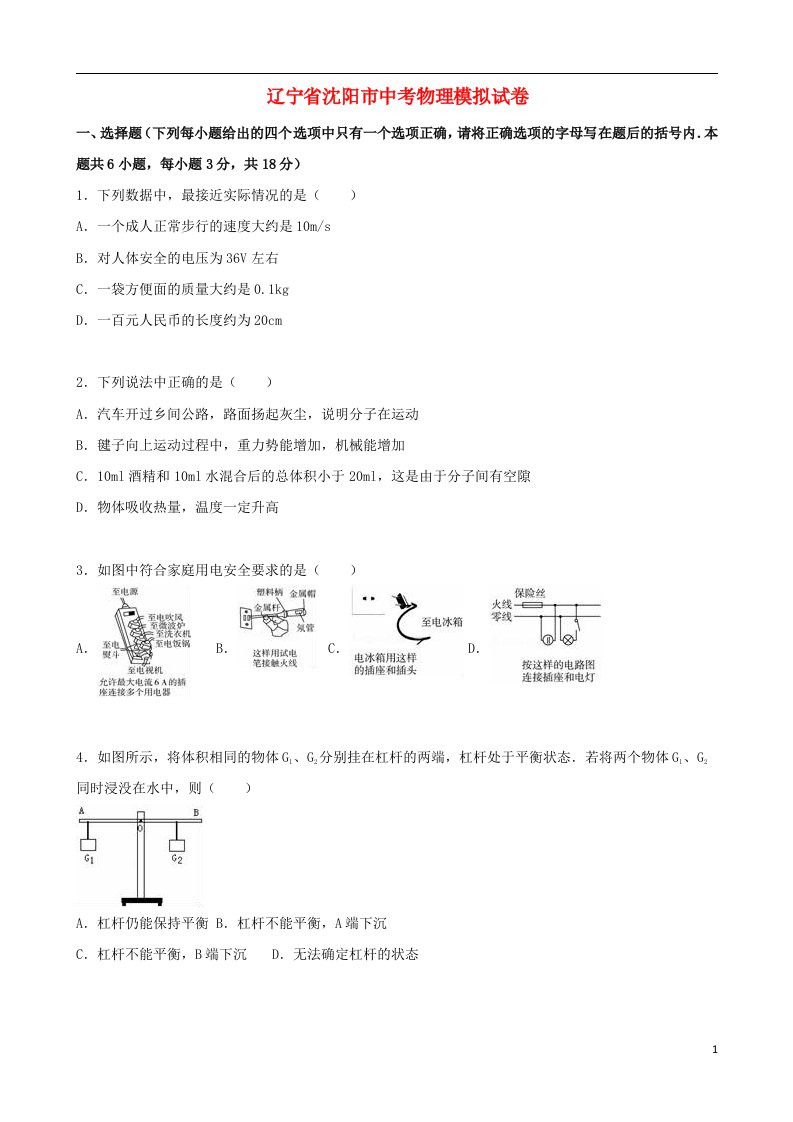 辽宁省沈阳市中考物理模拟试题（含解析）