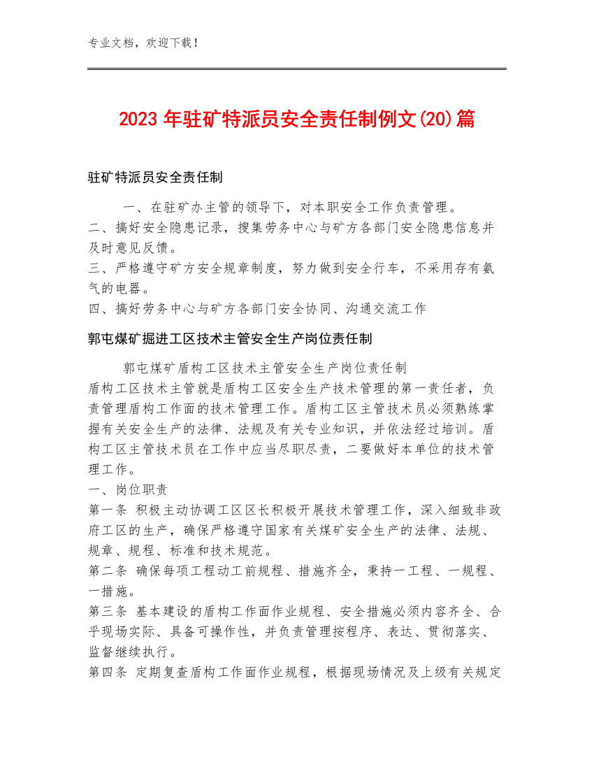 2023年驻矿特派员安全责任制例文(20)篇