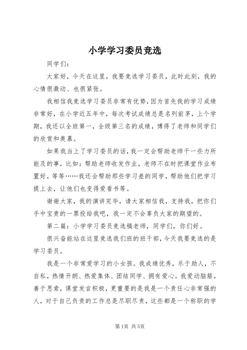 6小学学习委员竞选