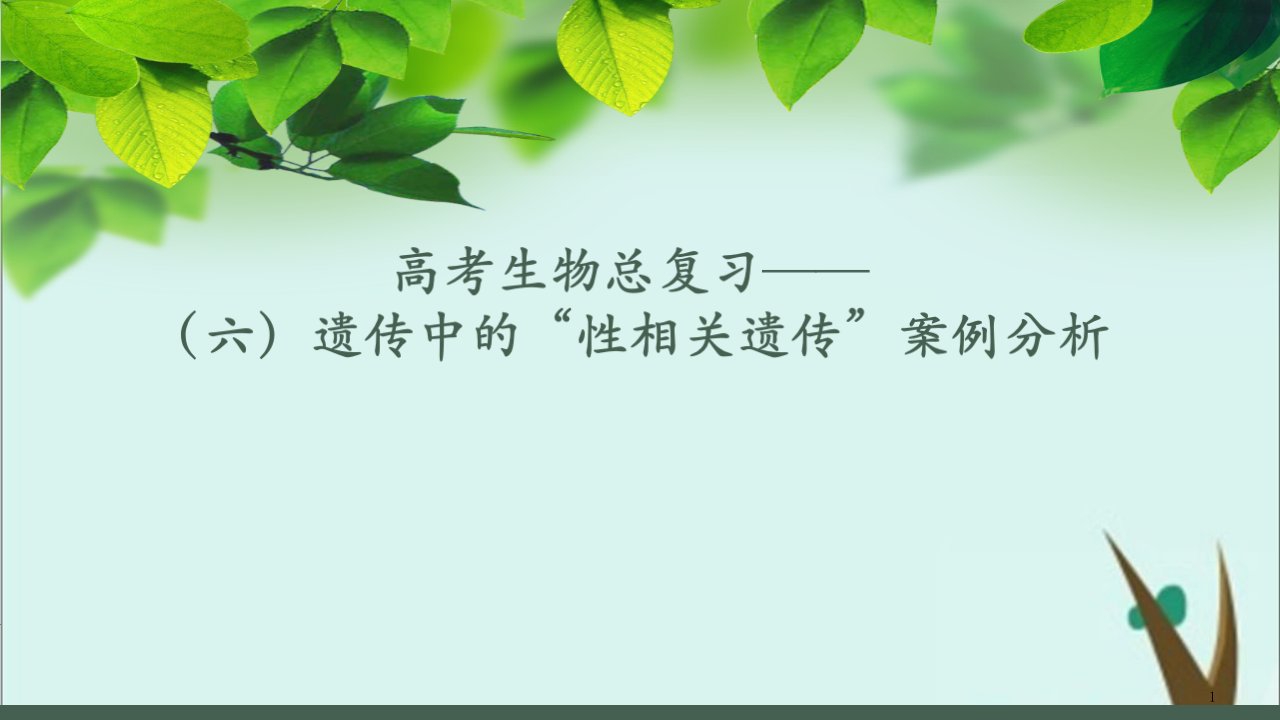 高考生物总复习之遗传中的“性相关遗传”案例课件