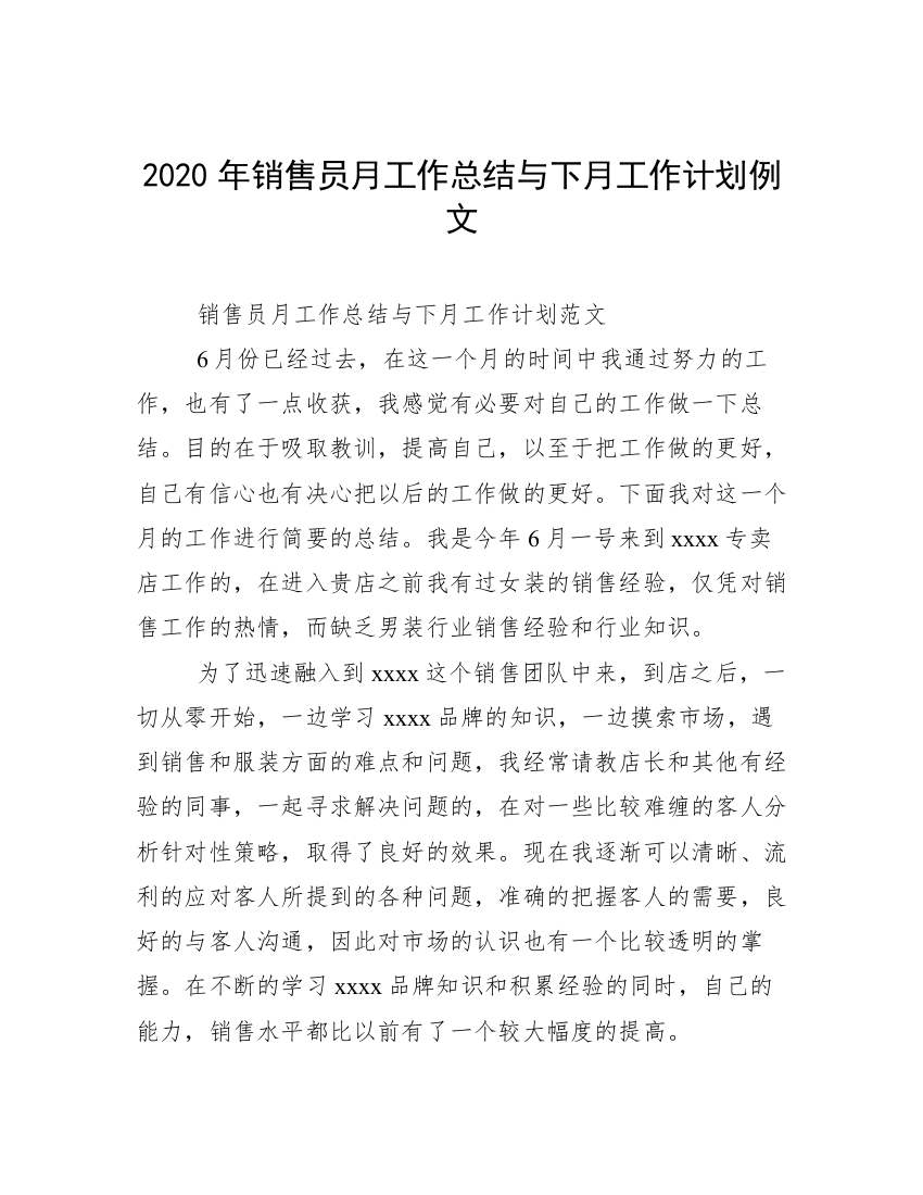 2020年销售员月工作总结与下月工作计划例文