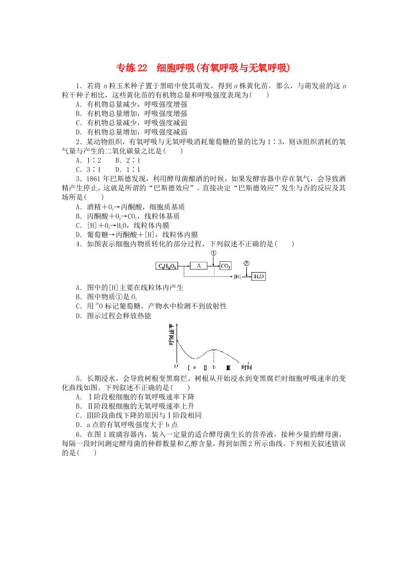 统考版2024版高考生物一轮复习微专题小练习专练22细胞呼吸有氧呼吸与无氧呼吸