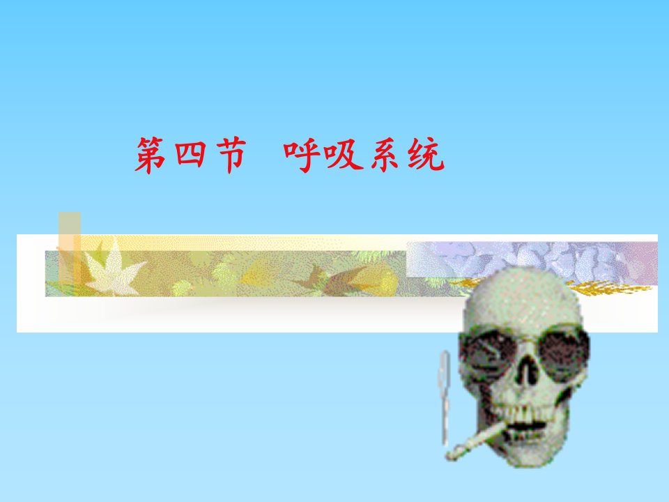 人体各主要部分的解剖第四节呼吸系统