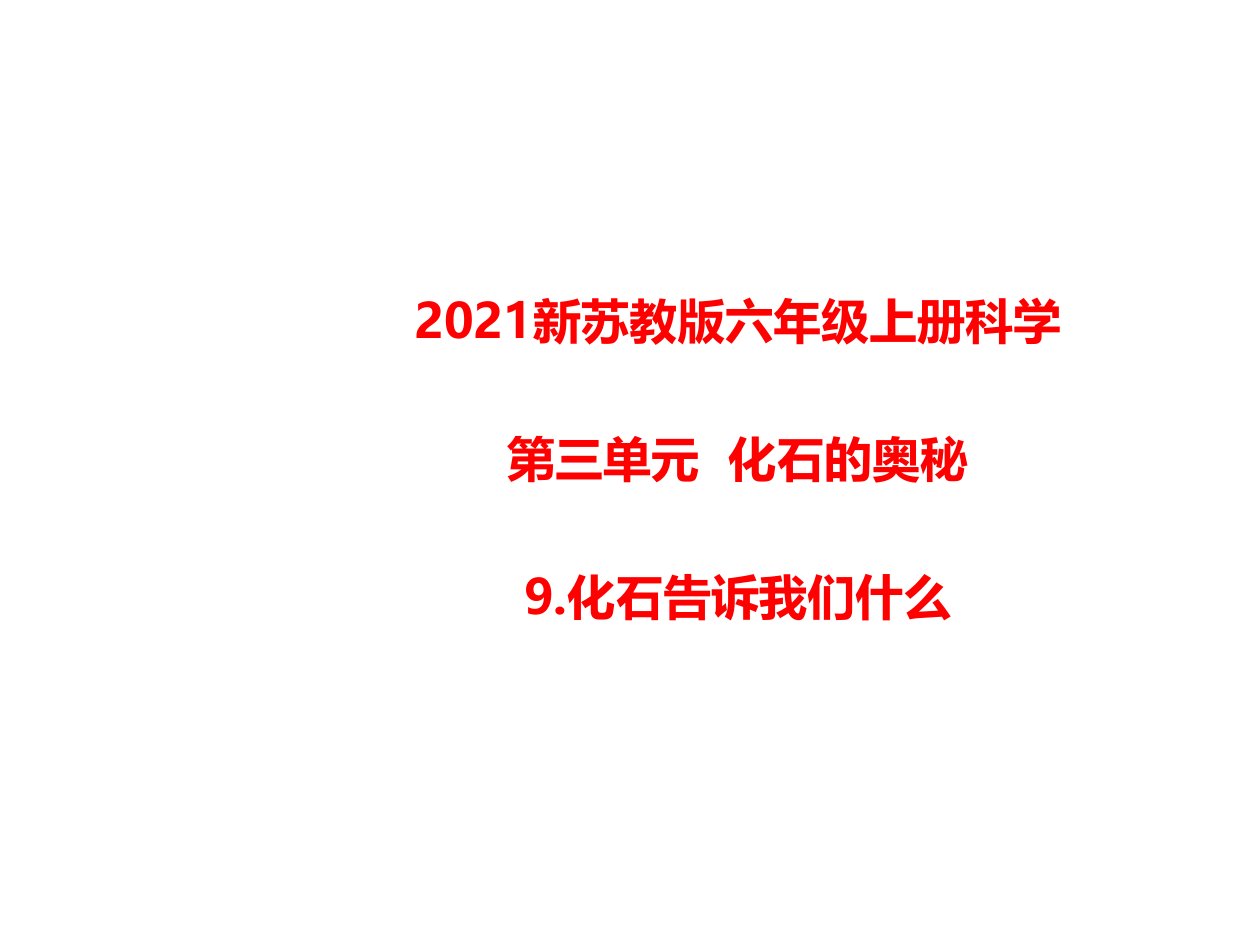 2021年【新苏教版】六年级科学上册第9课化石告诉我们什么