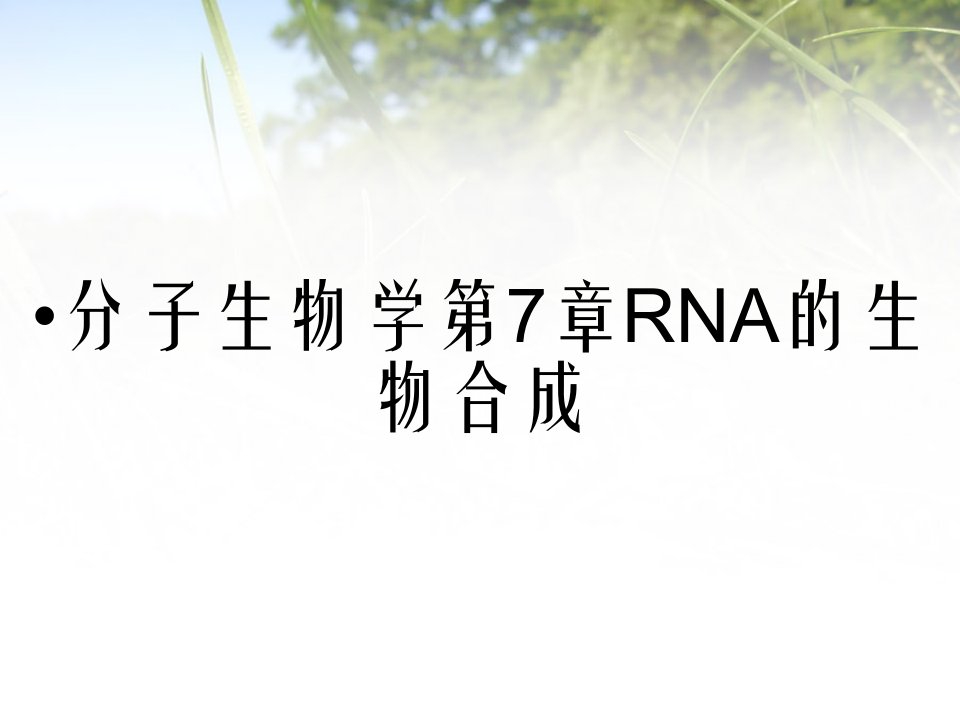 分子生物学第7章RNA的生物合成