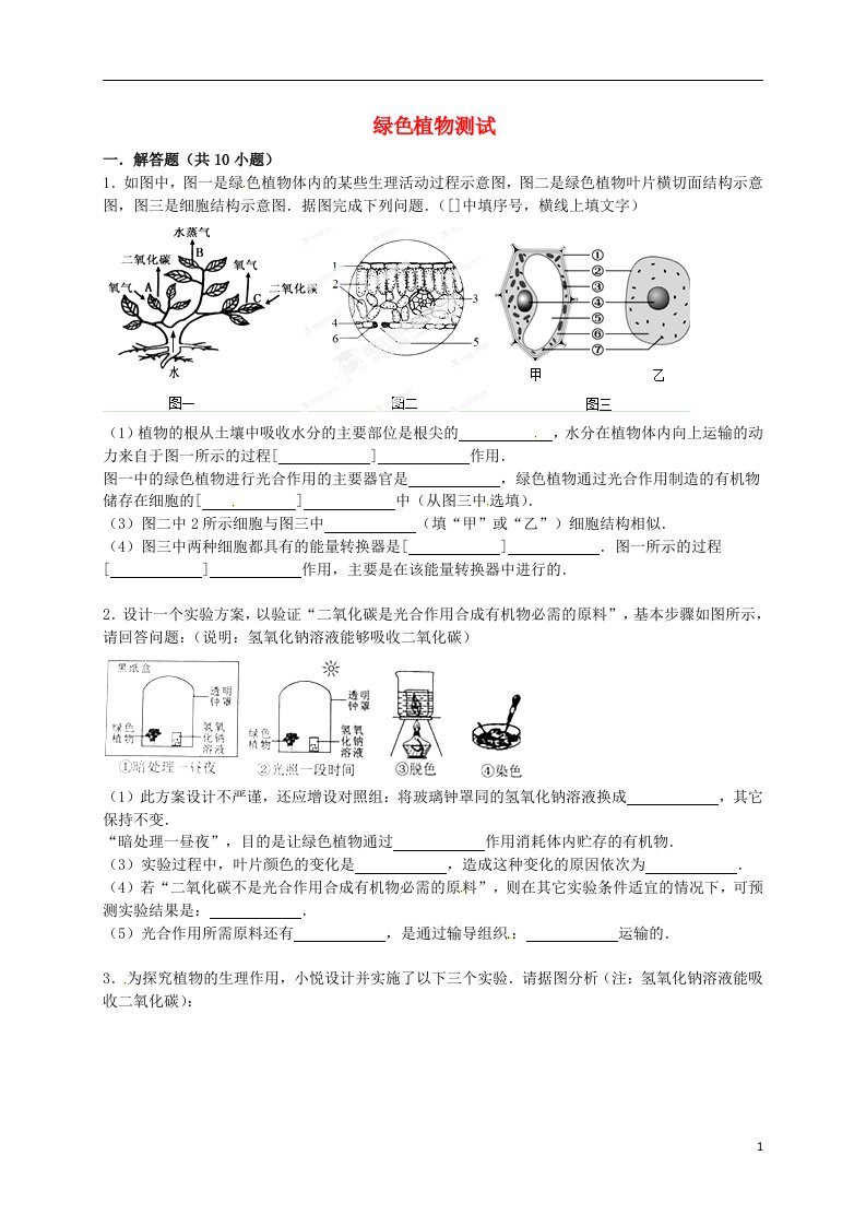 山东省诸城市枳沟初级中学七级生物上学期期末复习测试题（绿色植物一）