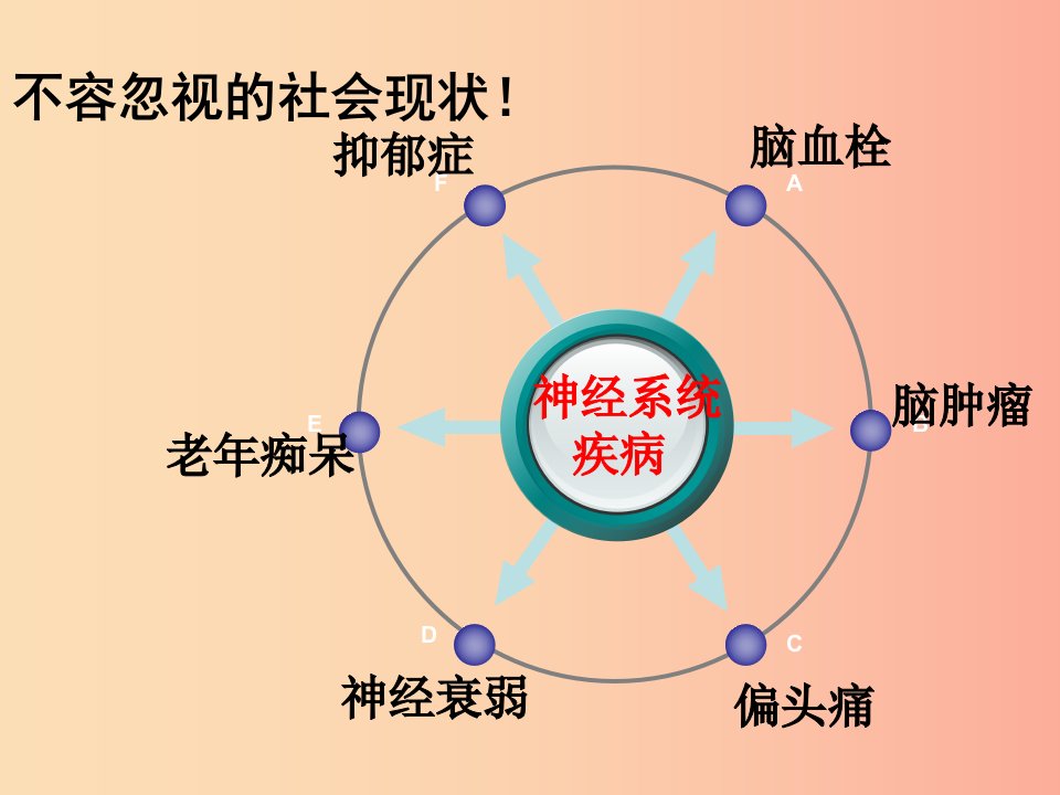 八年级生物上册