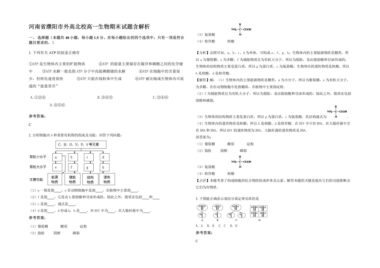 河南省濮阳市外高北校高一生物期末试题含解析