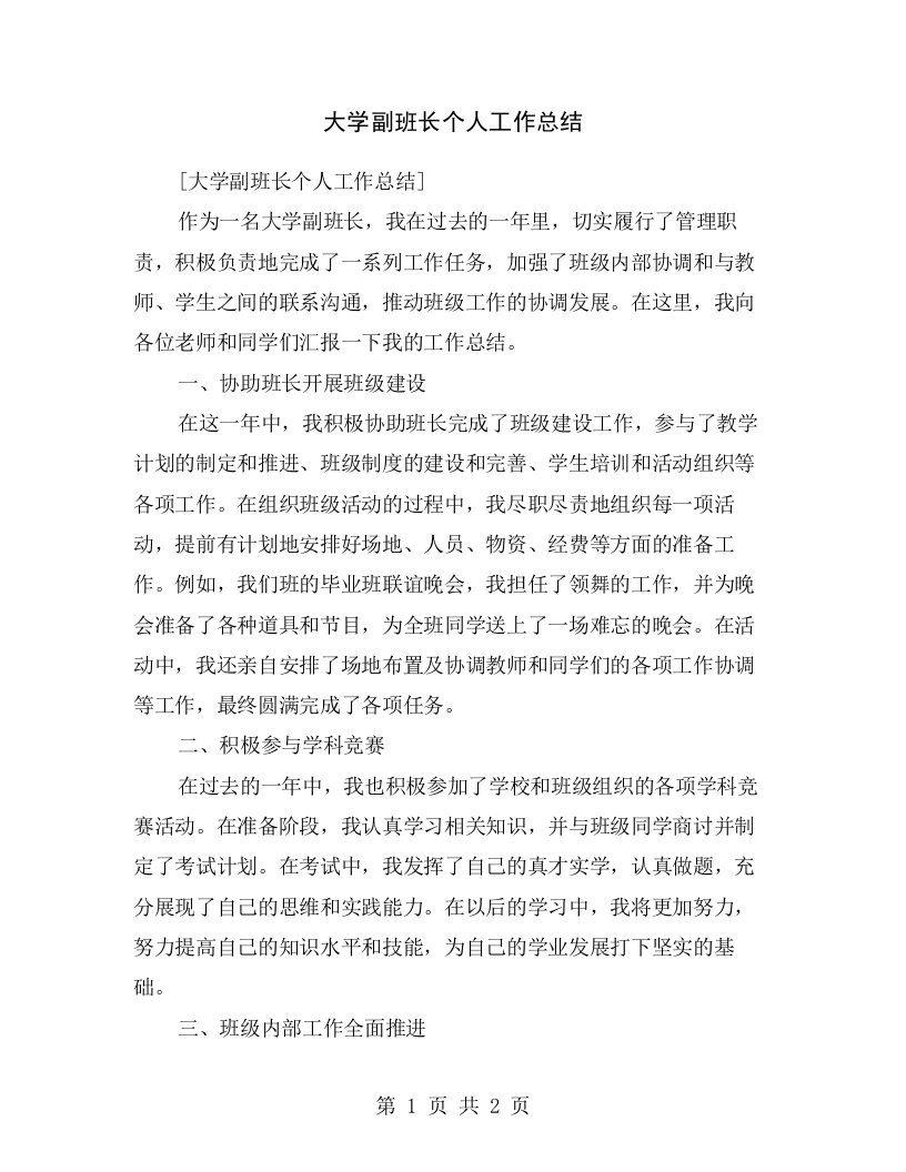 大学副班长个人工作总结