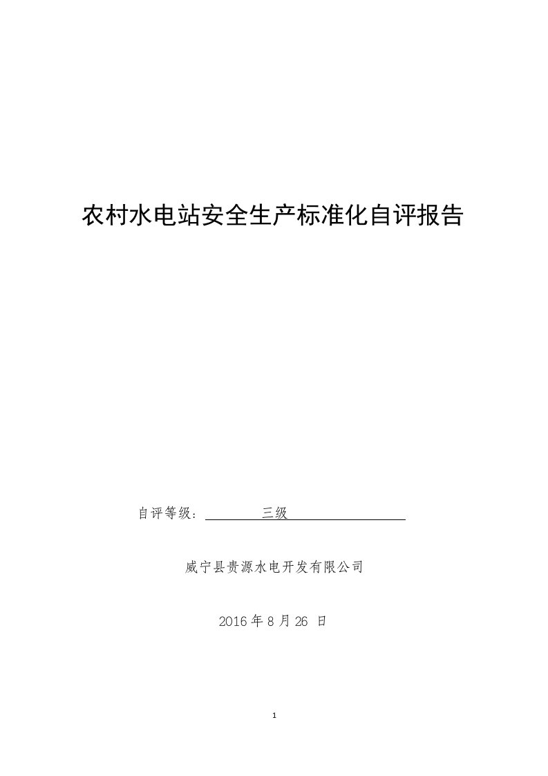 玉龙水电站安全生产标准化自评报告