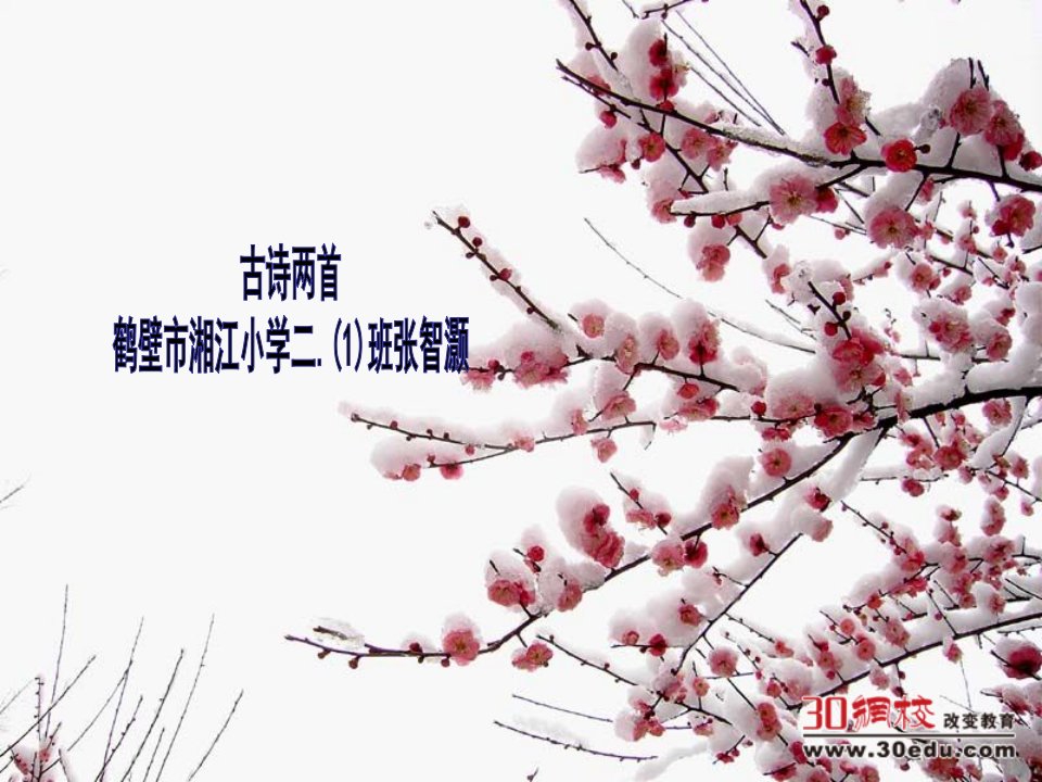 语文S版小学二年级上册《古诗两首(梅花)》课件