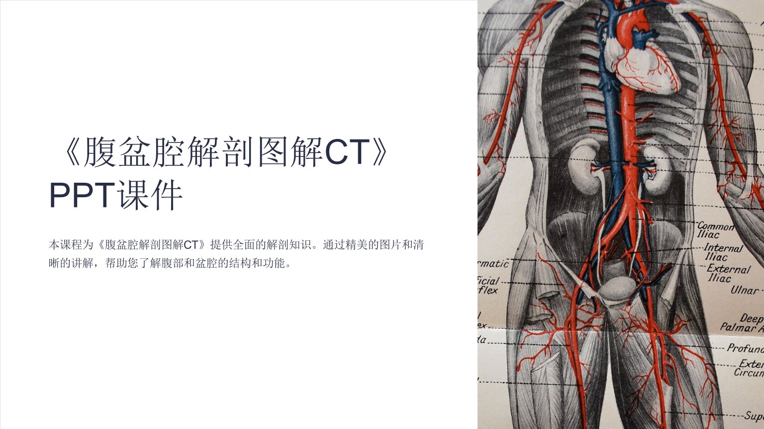 《腹盆腔解剖图解CT》课件