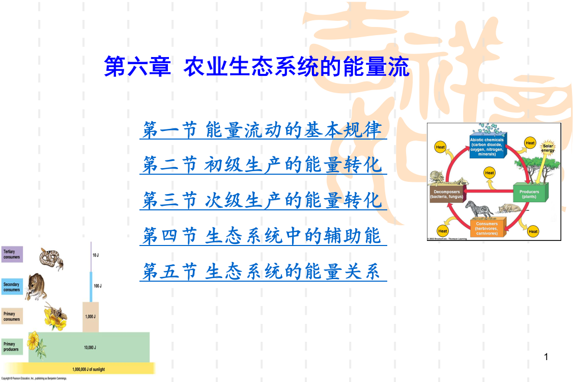 农业生态系统的能量流ppt课件