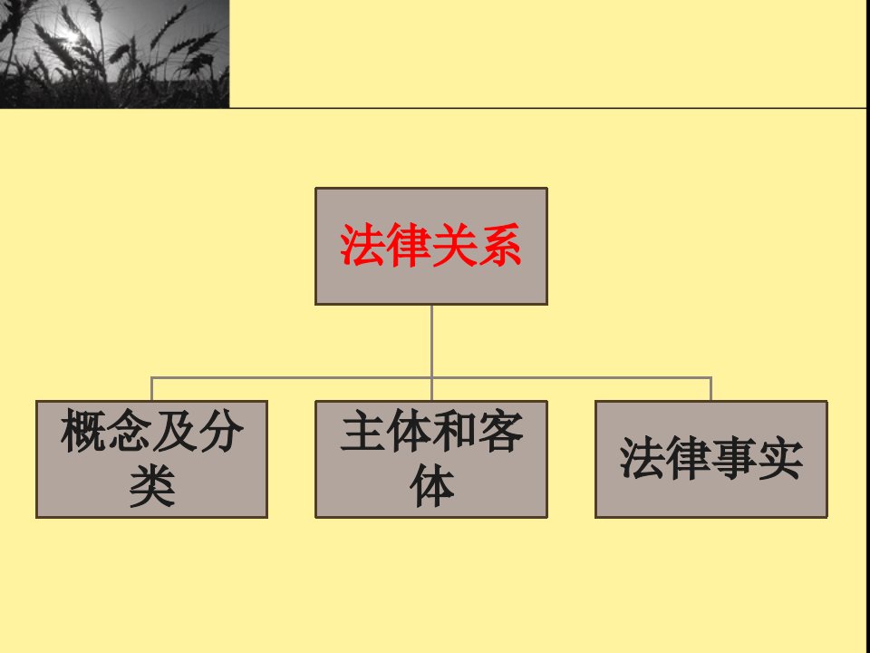 法理学第十章法律关系ppt课件