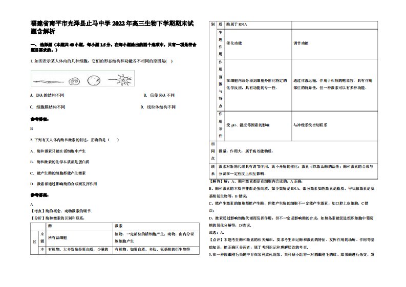 福建省南平市光泽县止马中学2022年高三生物下学期期末试题含解析