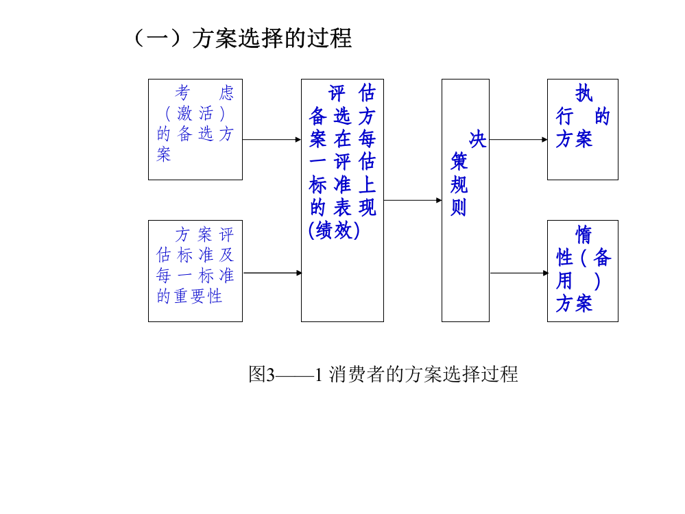 消费者行为学课件方案选择方案实施