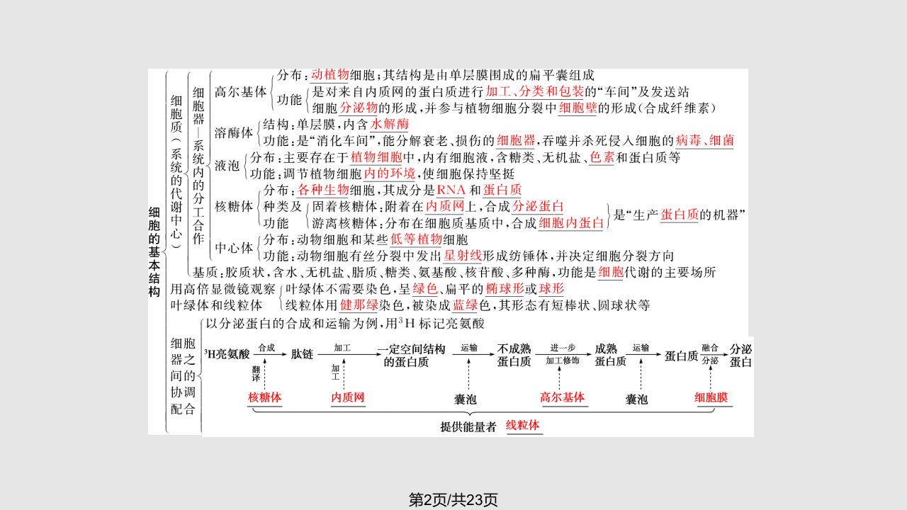 细胞结构知识框架