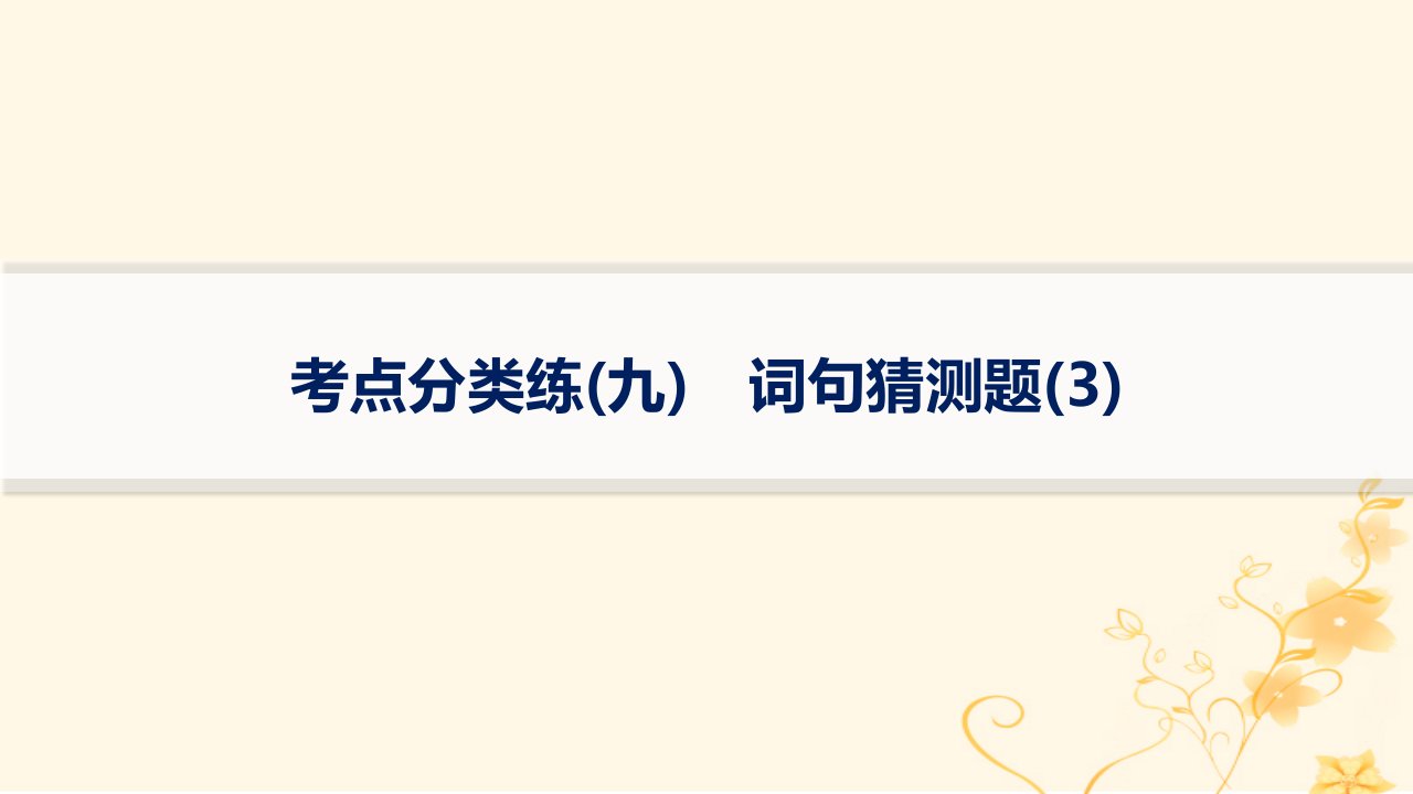 适用于新高考新教材2024版高考英语二轮复习专项能力提升练阅读理解考点分类练9词句猜测题3课件