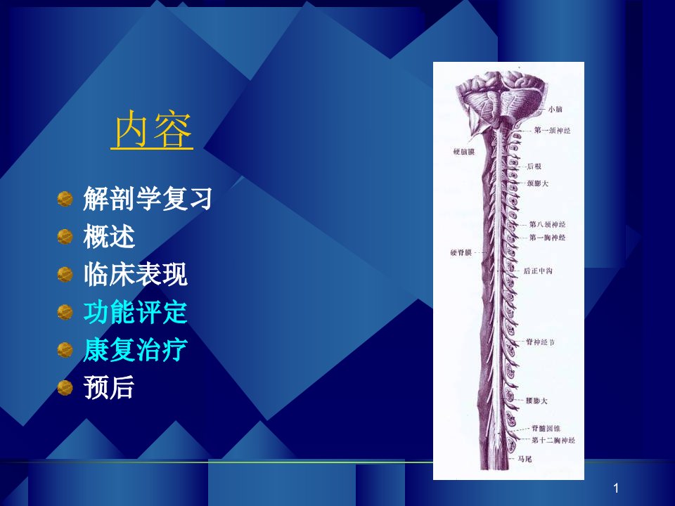 脊髓损伤康复PPT课件