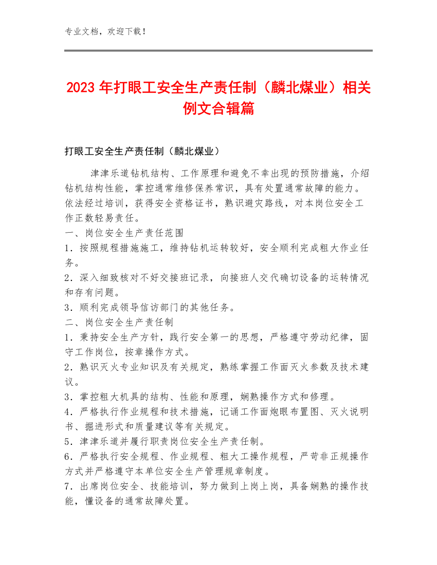 2023年打眼工安全生产责任制（麟北煤业）例文合辑篇