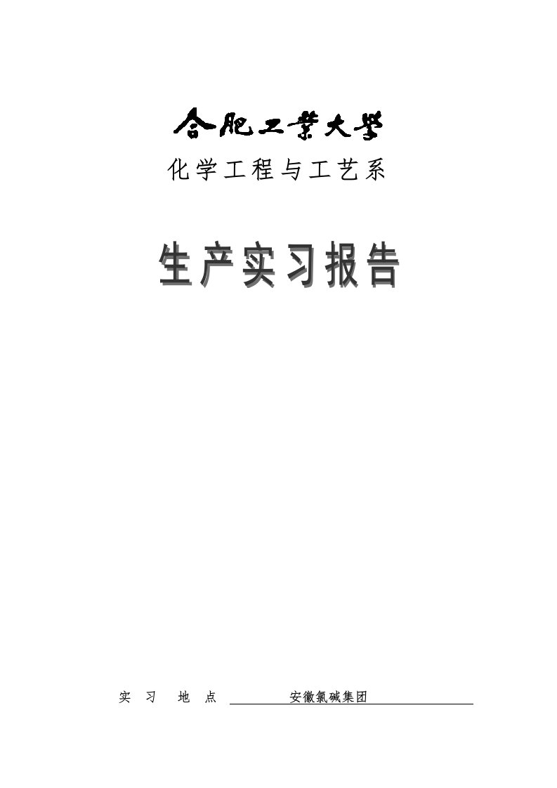 安徽中盐氯碱实习报告范本