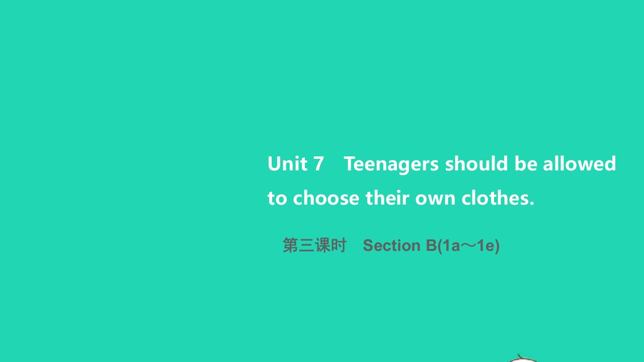 2021九年级英语全册Unit7Teenagersshouldbeallowedtochoosetheirownclothes第三课时SectionB1a_1e习题课件新版人教新目标版