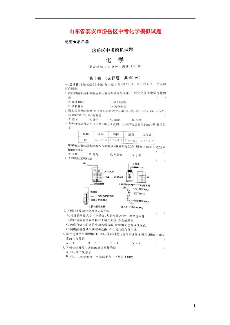 山东省泰安市岱岳区中考化学模拟试题（扫描版）