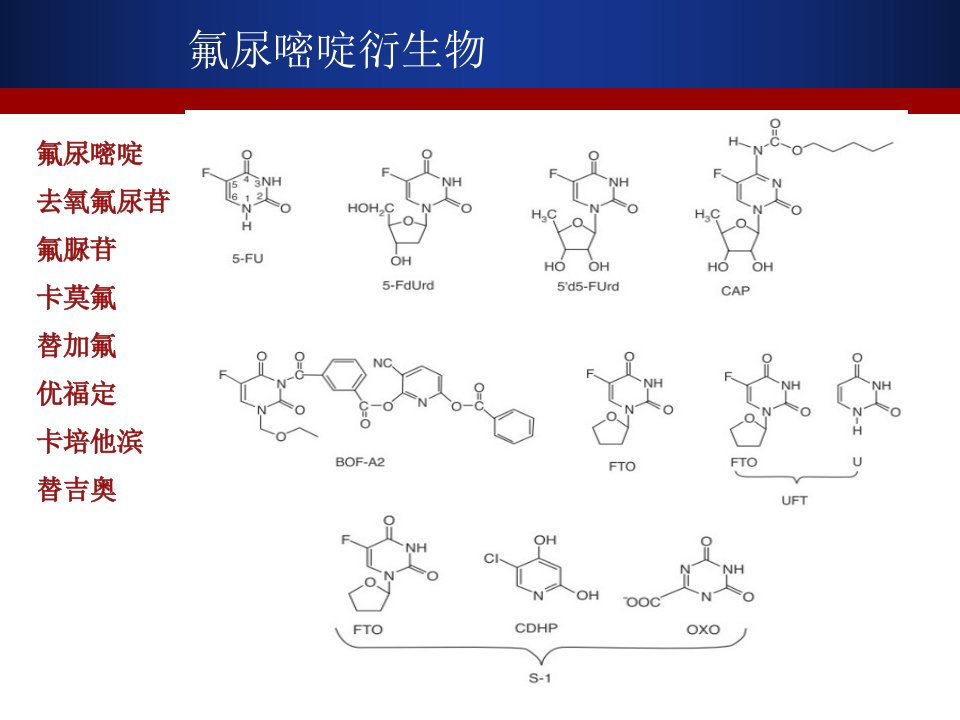 5-FU及其衍生物市公开课获奖课件省名师示范课获奖课件