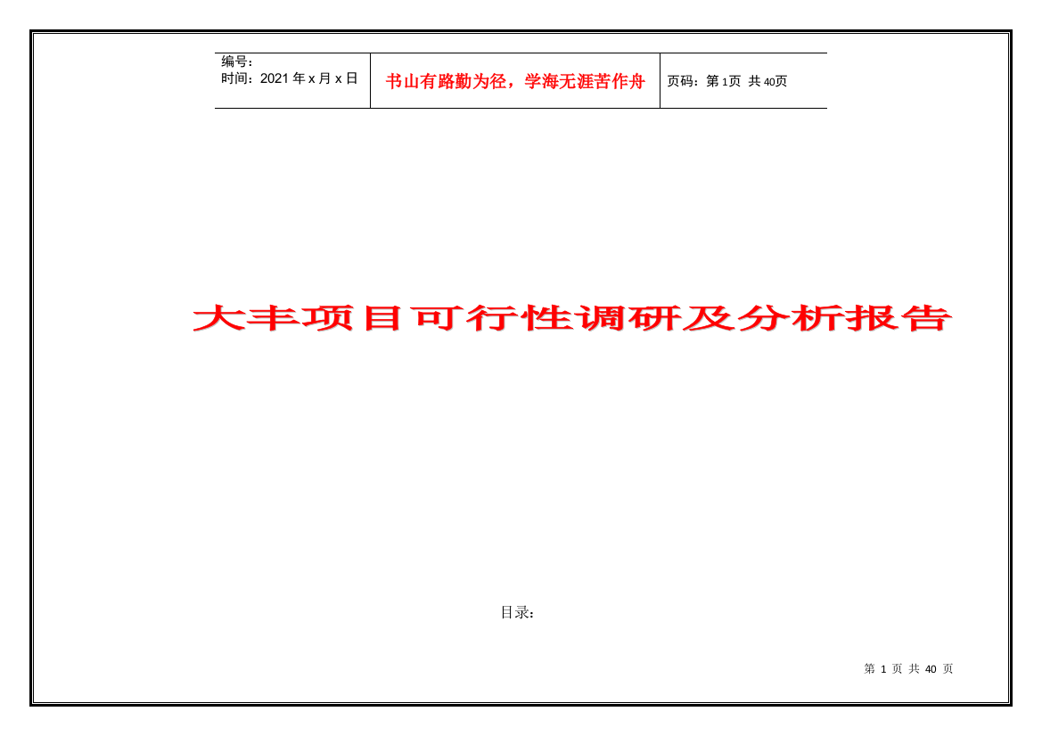 某城市项目可行性调研及分析报告