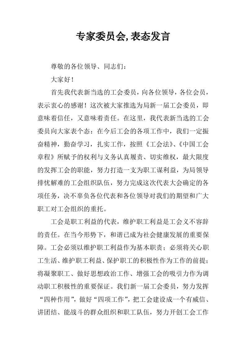 专家委员会,表态发言