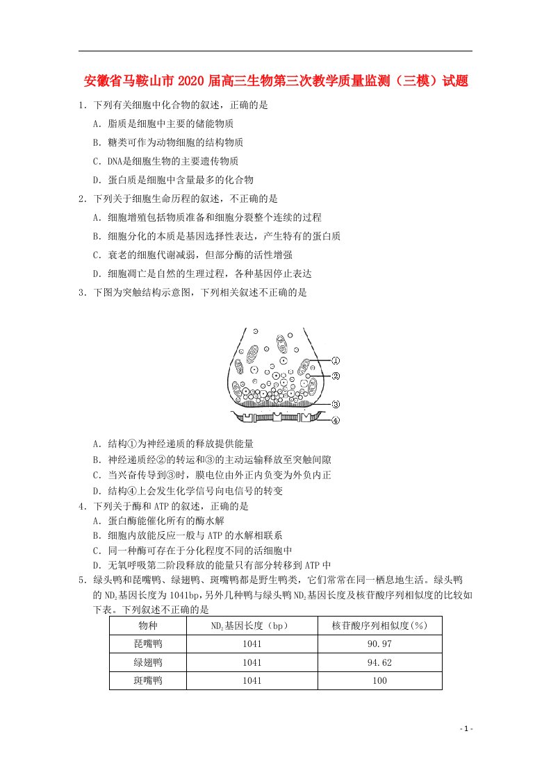 安徽省马鞍山市2020届高三生物第三次教学质量监测三模试题