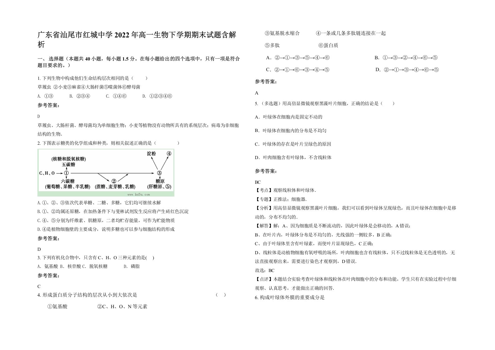 广东省汕尾市红城中学2022年高一生物下学期期末试题含解析