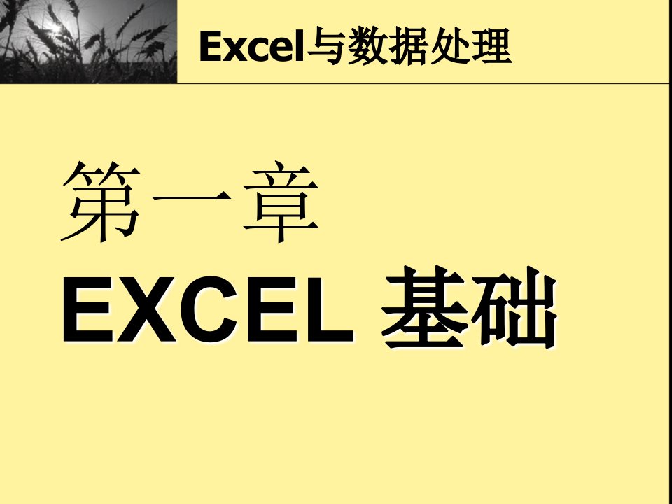 Excel2007数据处理.ppt