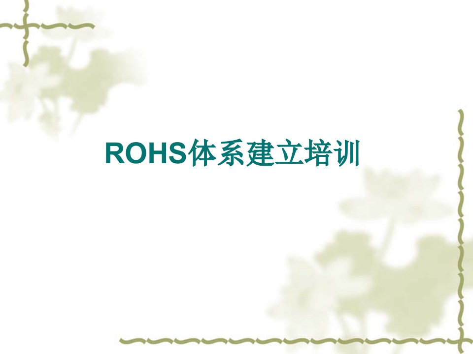 ROHS体系建立培训讲义