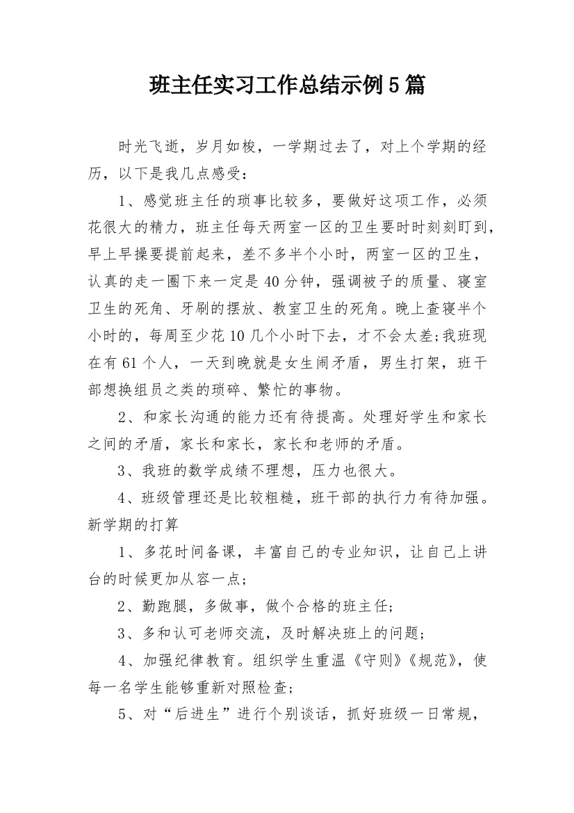 班主任实习工作总结示例5篇